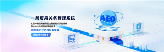 2023-一般贸易关务管理系统-banner