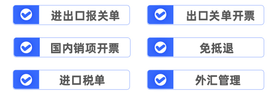  进出口报关单、出口关单开票、国内销项开票、免抵退、进口税单、外汇管理